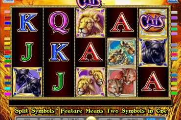 Descargar juegos de casino gratis sin internet